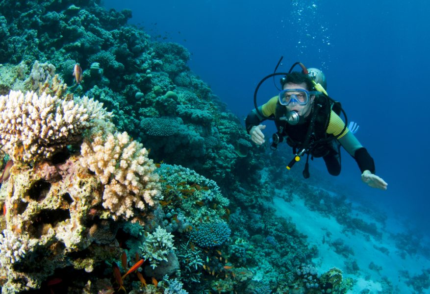 El mejor buceo en Croacia