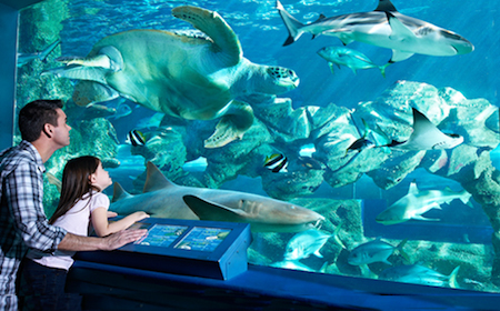 Aquarium