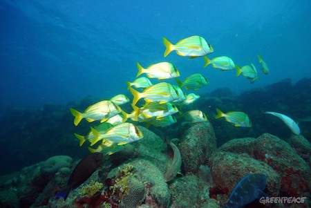 Parque Nacional Marino de Abrolho