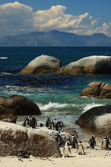 Boulders Beach