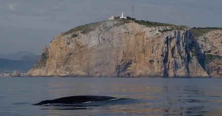 Cap de Sant Antoni