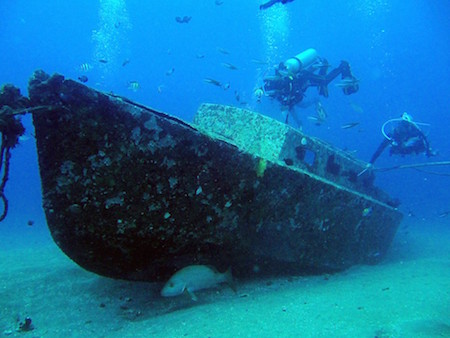 buceo en la Isla de Apo, Filipinas