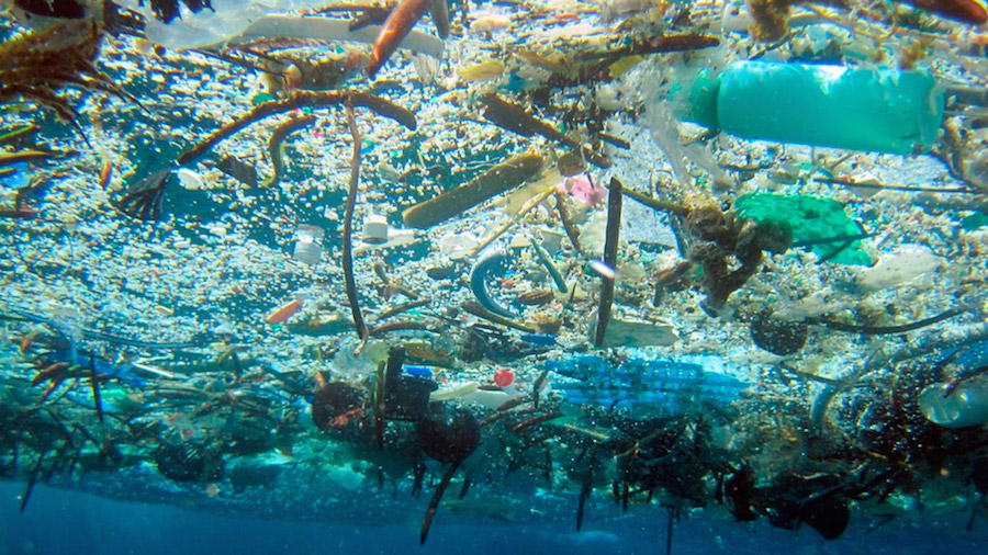 Resultado de imagen para contaminacion del mar mediterraneo