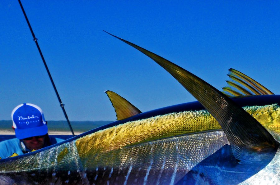 Cañas de pescar Pesca de Altura 3