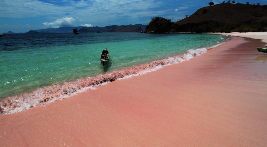 playa rosa 2