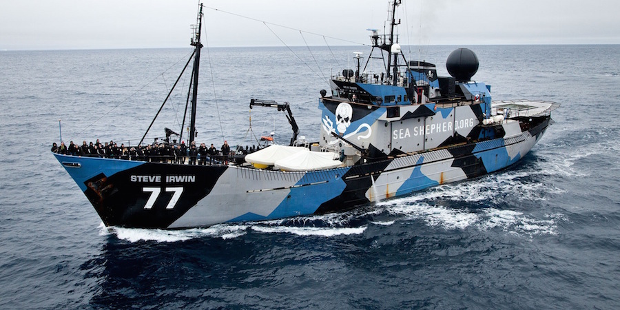 sea shepherd 3