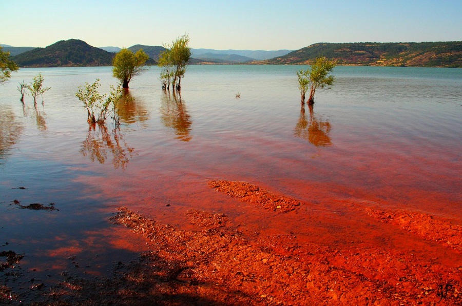 marea roja