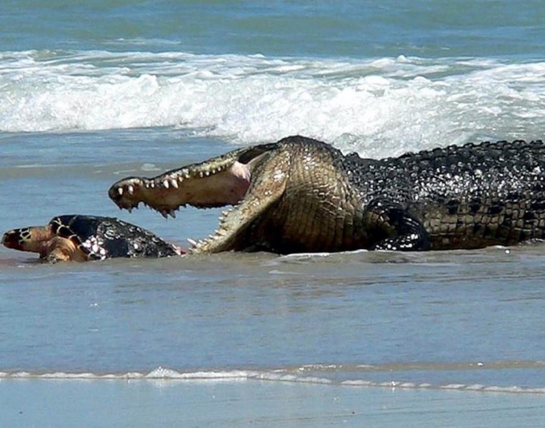 las playas más peligrosas del mundo 6