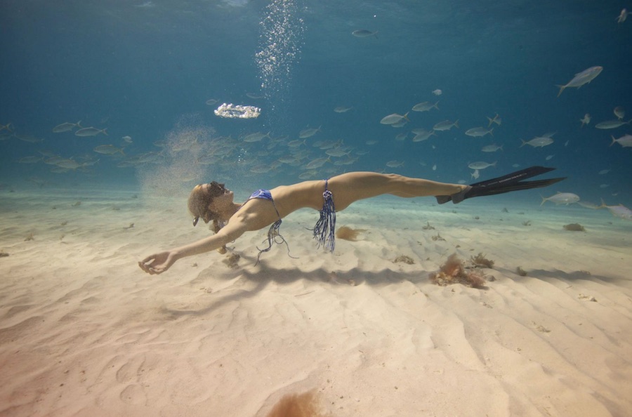 Ocean Ramsey - Tiburones 4