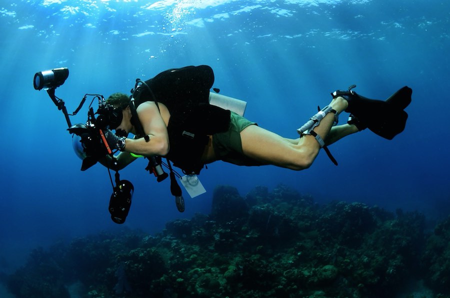 Como elegir mejor de fotografía subacuática