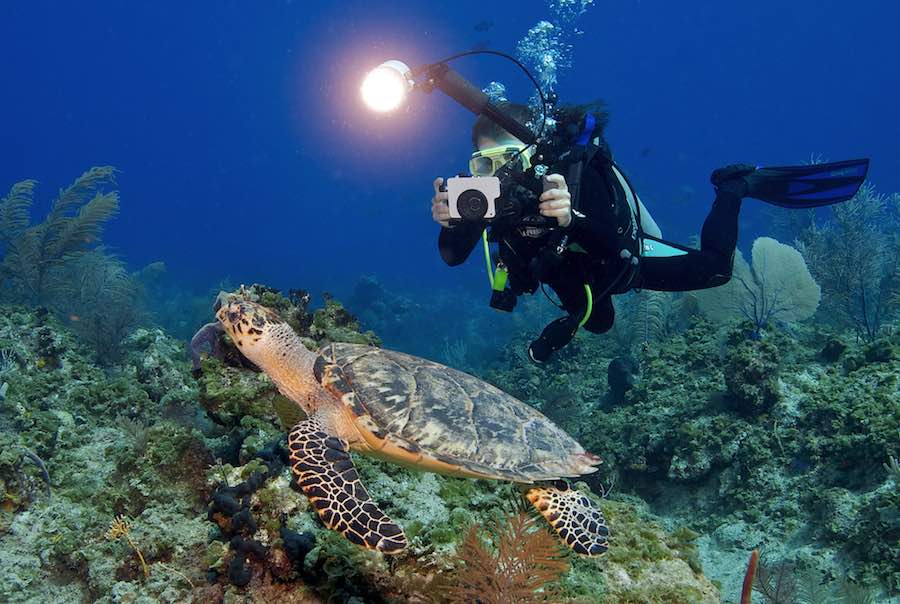 camara de fotografia subacuatica 2