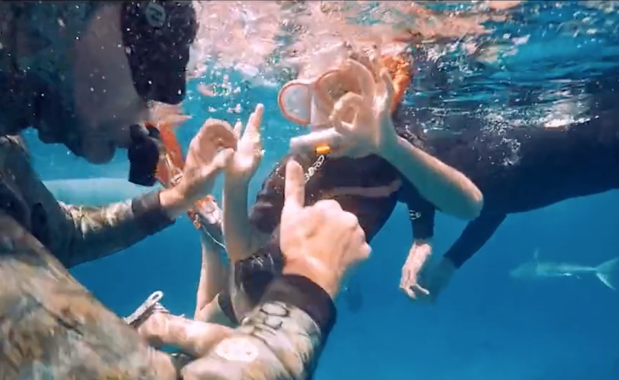 Niña 7 años buceando con Tiburones