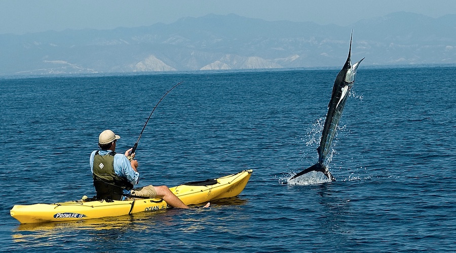 Consejos para la pesca con kayak - Blog de Kayak