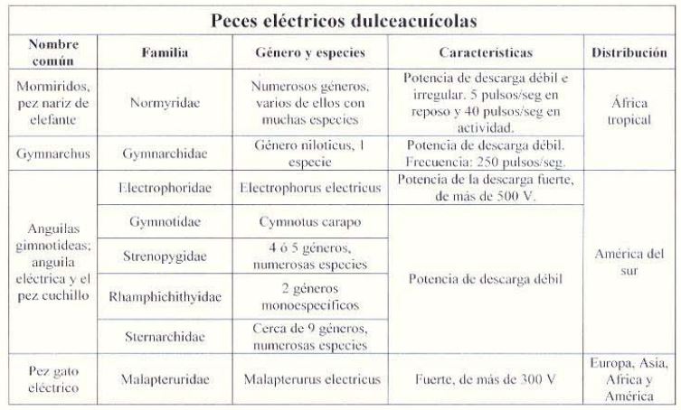 peces electricos de agua dulce