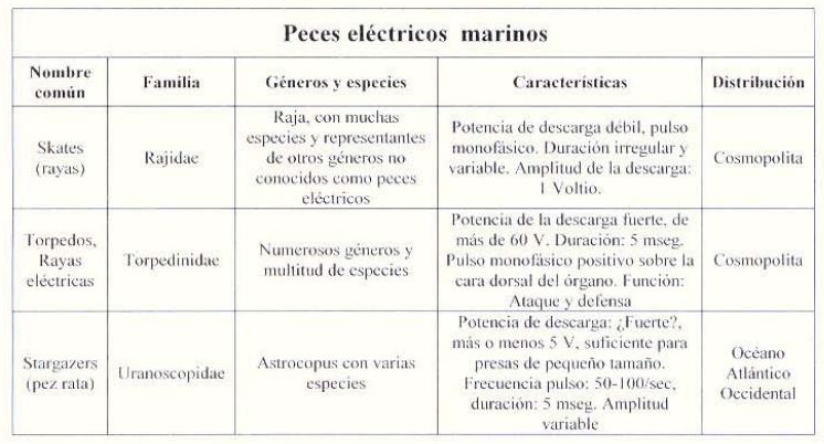 tipos peces eléctricos marinos