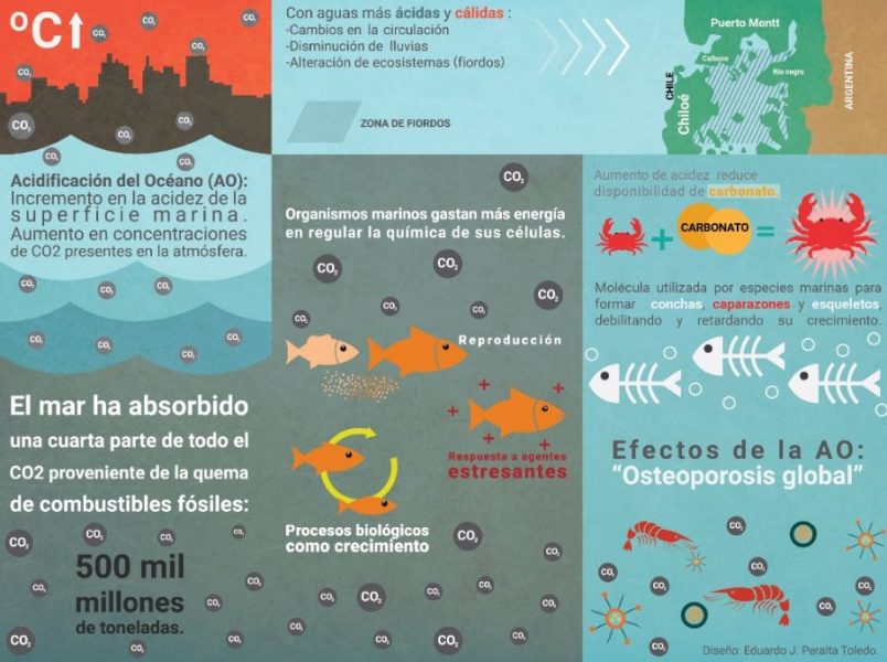 acidificación de los mares