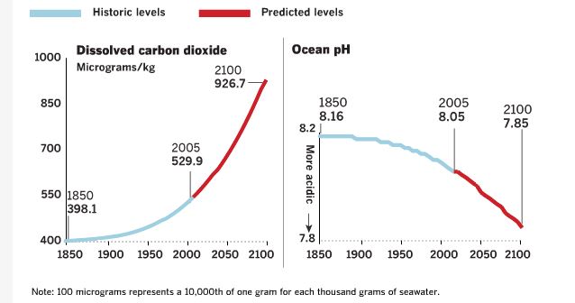 evolucion acidificación de los océanos