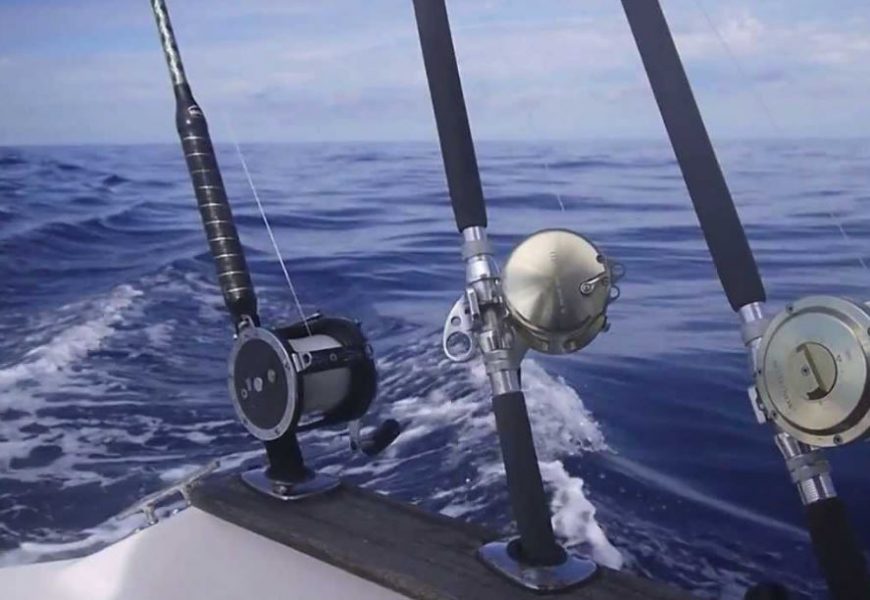 Sociedad Doblez trimestre La pesca al curricán: el bonito | nauticalnewstoday.com
