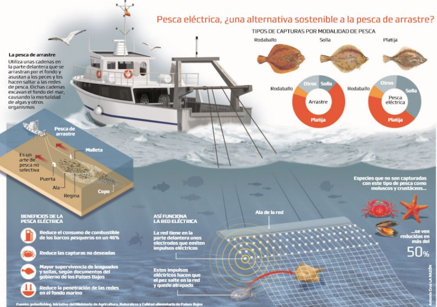 pesca eléctrica