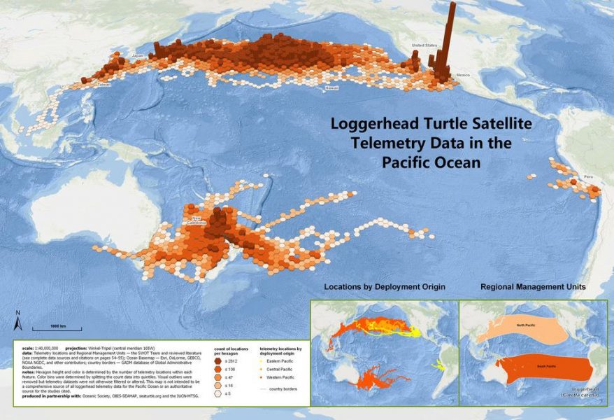 mapa migración tortugas marinas